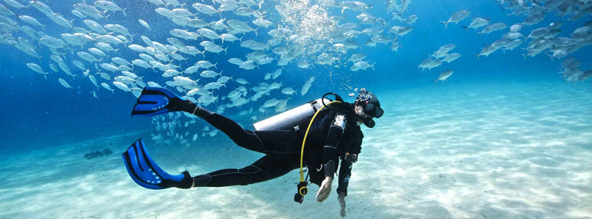 phuket-dalis.jpg