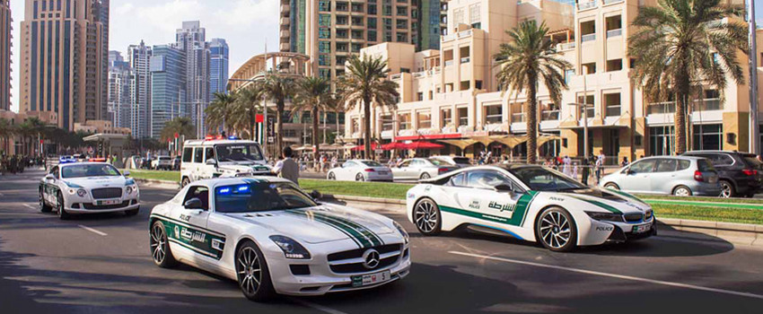 arabalarr.jpg