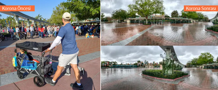 disneylandd.jpg
