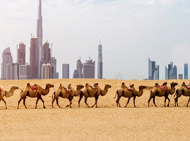 dubay1x1.jpg