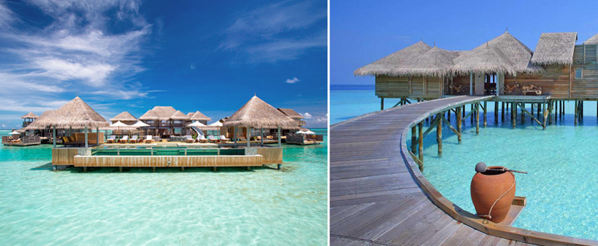 gili.jpg