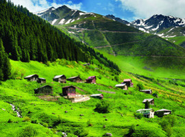 karadenizz-1x1.jpg