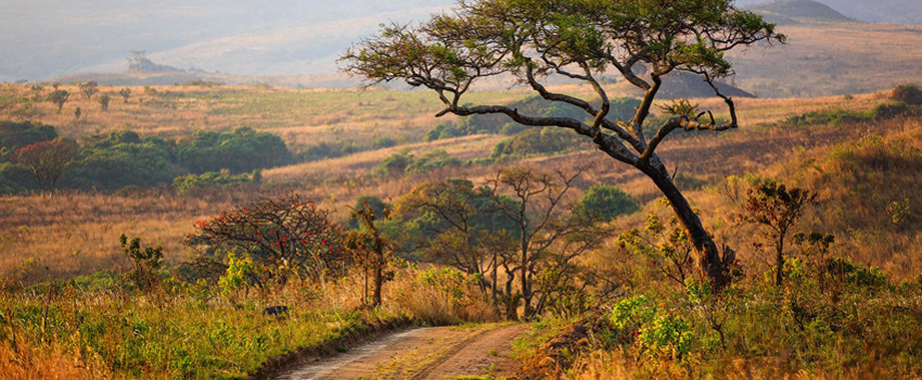 malawi.jpg