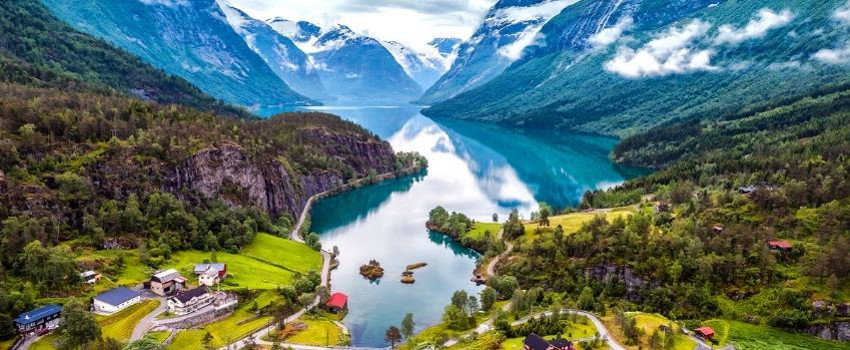 norvec-gorseli.jpg