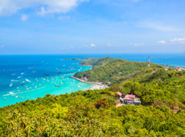 pattaya-1x1.jpg