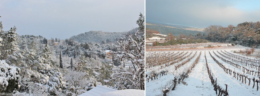 provence.jpg