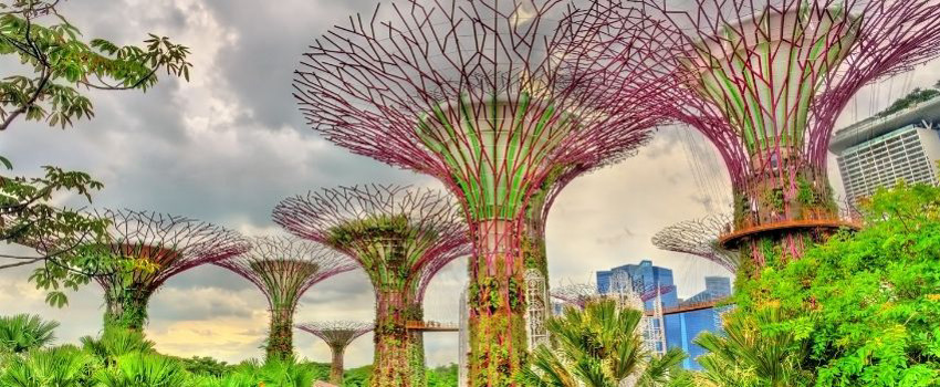singapur-bahcesi.jpg