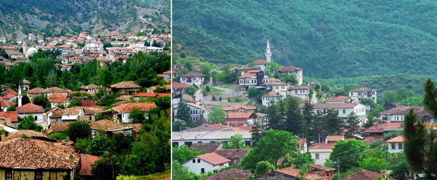 tarakli.jpg