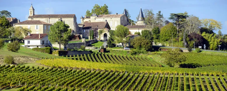 St. Emilion Bağları - Bordeaux