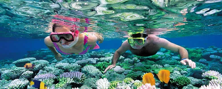 Dalış Keyfi - Cancun