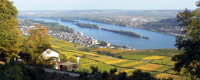 Nehir Manzarası - Rüdesheim