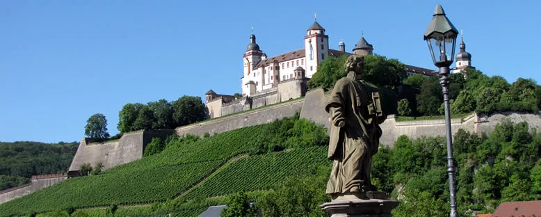 Kale - Würzburg