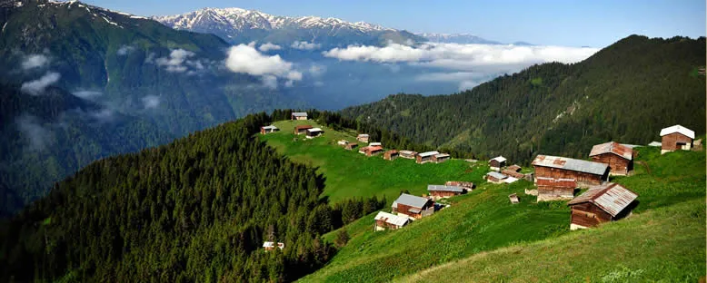 Pokut Yaylası - Rize