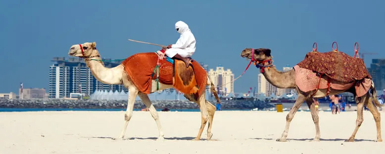Jumeirah Plajı ve Deve Sürücüsü - Dubai