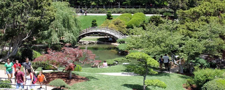 Huntington Gardens - Los Angeles