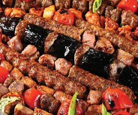 Kuzey Mezopotamya Turu