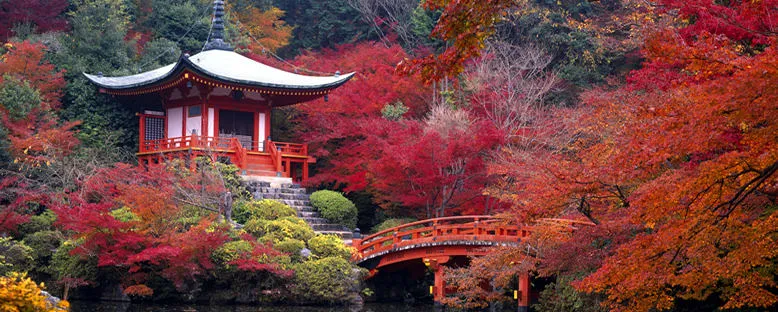 Sonbahar Manzarası - Kyoto