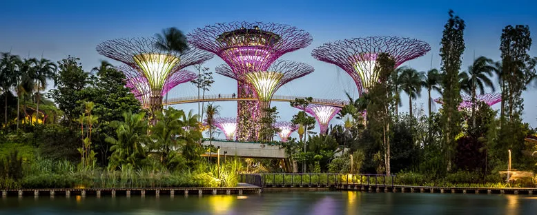 Akşam Işıklarıyla Körfez Bahçeleri - Singapur