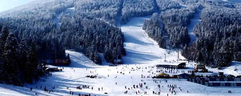 Alplerde Kayak - Jahorina