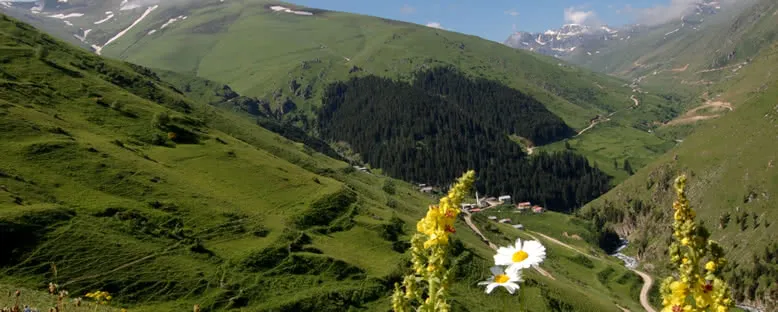 Anzer Yaylası - Rize