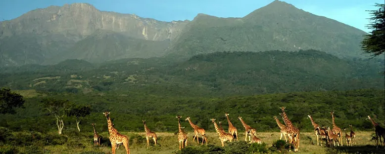 Arusha Bölgesi - Kilimanjaro