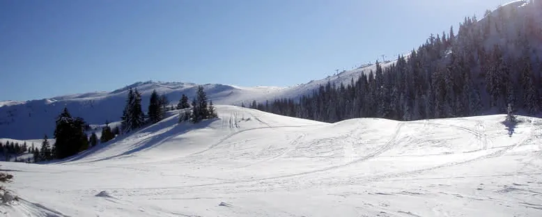 Bölge Manzarası - jahorina