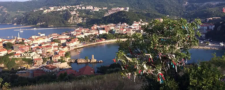 Boztepe Dilek Ağacı - Amasra