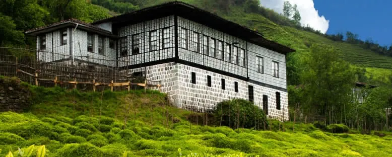 Çay Tarlası ve Taş Ev - Rize