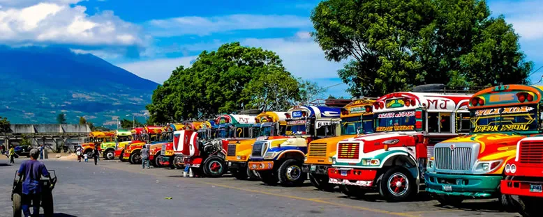 Chicken Bus - Antigua