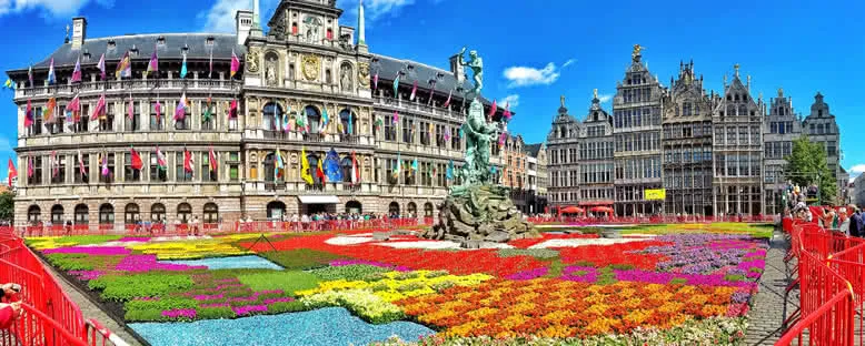 Çiçek Halısı - Antwerp