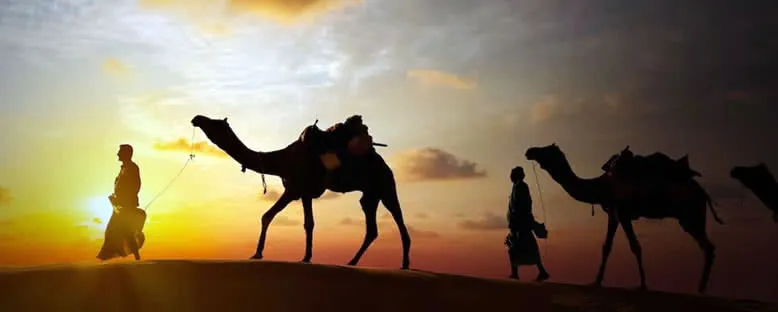 Çöl ve Develer - Doha