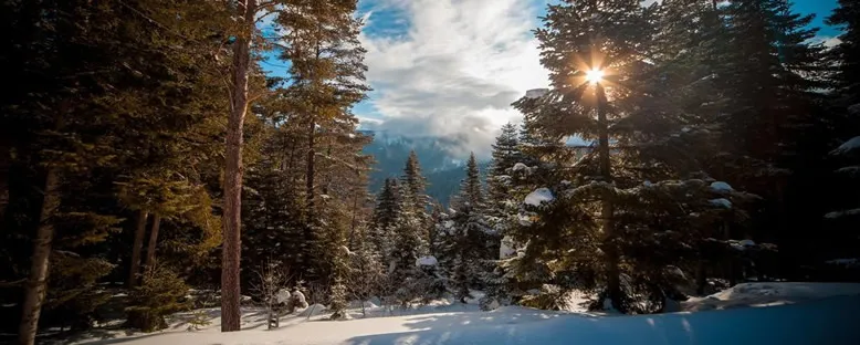 Doğa Manzarası - Ilgaz Dağları