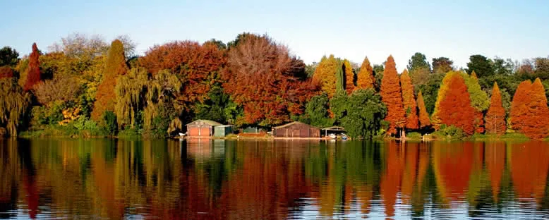 Emmerantia Gölü - Johannesburg