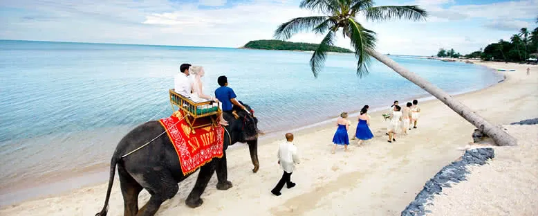 Fil Gezisi - Koh Samui