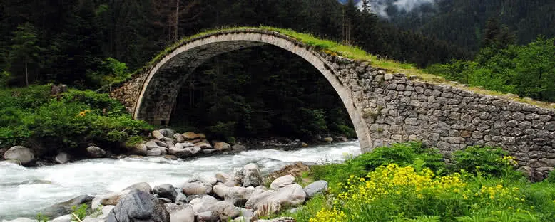 Fırtına Deresi ve Köprü - Rize