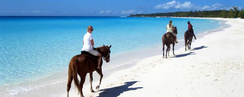 At Gezisi - Punta Cana