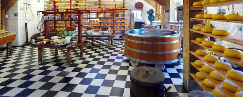 Gouda Peynir Fabrikası - Amsterdam