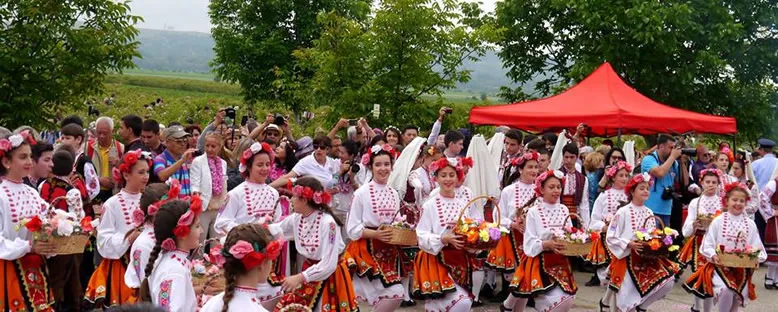 Gül Toplama - Kazanlık Gül Festivali