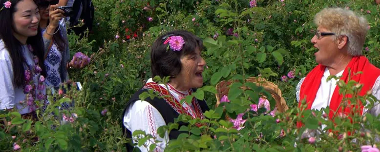 Gül Toplayanlar - Kazanlık Gül Festivali