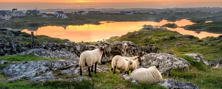 Gün Batımı - Killarney