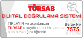 Tatil Meleği
