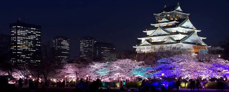 Nishinomaru Bahçeleri - Osaka