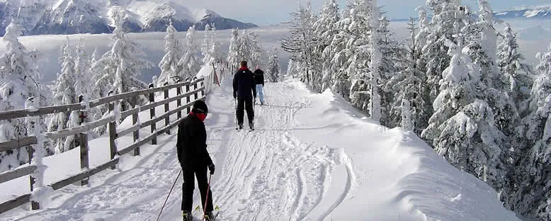 Kar Yürüyüşü - Poiana Brasov