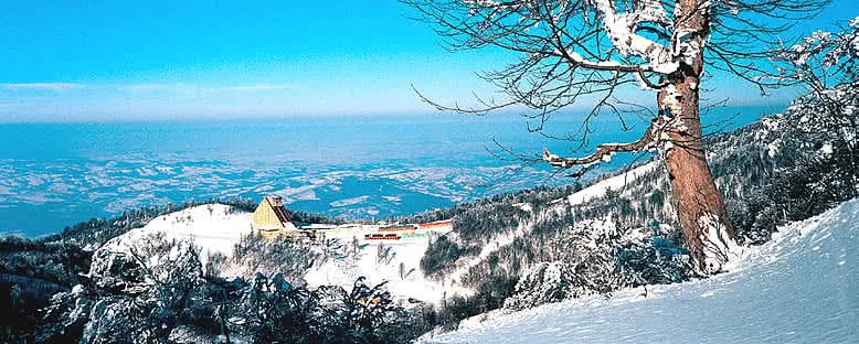 Dağ Manzarası - Kartepe