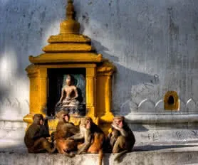 Nepal Katmandu Turları