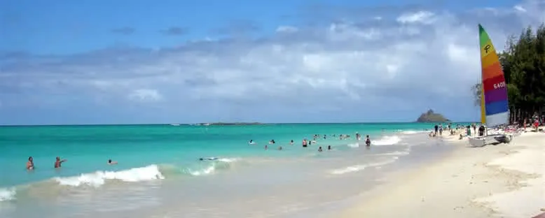 Kauila Plajı - Auckland