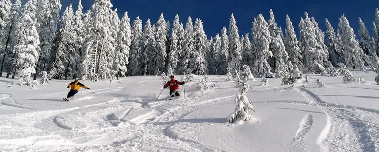 Kayakçılar - Poiana Brasov