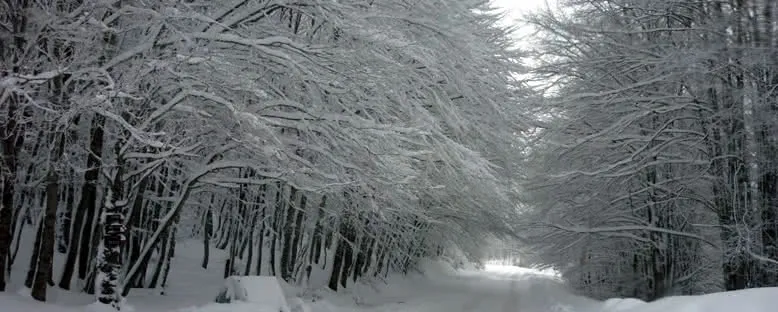 Kış Aylarında Ulusal Park - Mavrovo