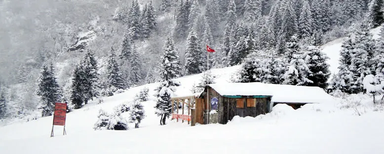 Kış Manzarası - Rize