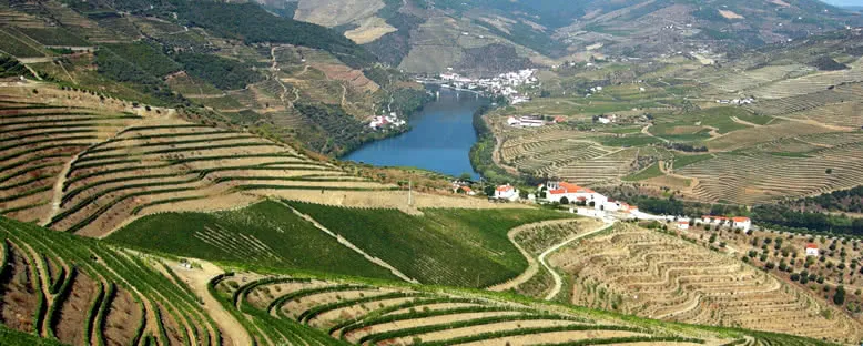 Kıyılardaki Bağlar - Regua